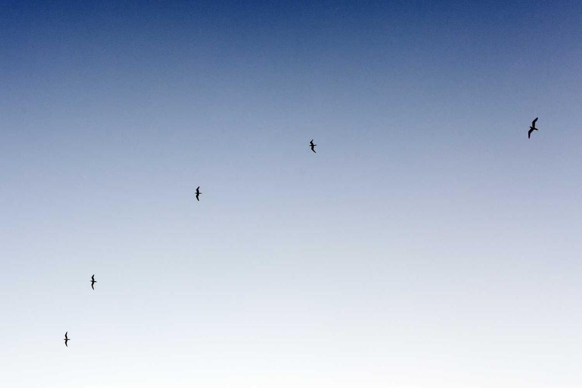 Automotive exhibit booth with modular display stand, LED lights, and product showcases