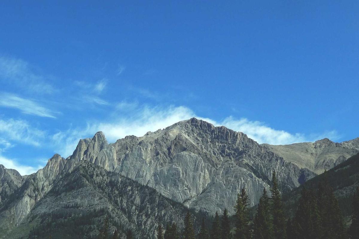 Business professionals assemble modular display rentals at a convention center